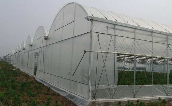Poly serre chaude de tunnel d'envergure de PE de film de coût bas simple de la serre chaude TUV