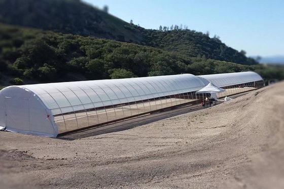 Serre chaude en acier galvanisée de tunnel de la serre chaude 3.2m de film de PE de cadre haute