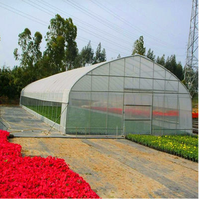 Poly serre chaude de tunnel d'envergure de PE de film de coût bas simple de la serre chaude TUV