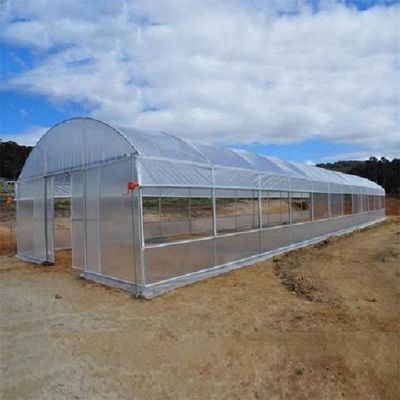 Poly serre chaude de tunnel d'envergure de PE de film de coût bas simple de la serre chaude TUV