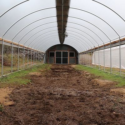 Serre chaude en acier galvanisée de tunnel de la serre chaude 3.2m de film de PE de cadre haute