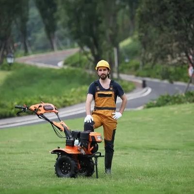 talle rotatoire de tracteur du cultivateur 5.5kw de la houe 170F rotatoire avec une boîte à outils